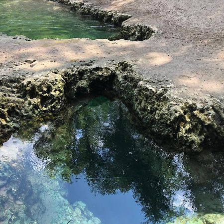 The Suwannee River Hide-A-Way Mayo المظهر الخارجي الصورة